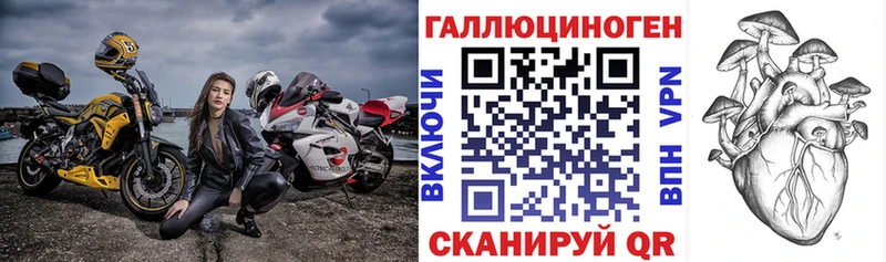 Псилоцибиновые грибы GOLDEN TEACHER  где купить наркоту  Мещовск 